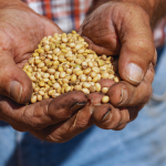 ‘Squad’ Dem dishes out campaign cash to anti-Israel nonprofit tied to ‘Terrorist University’